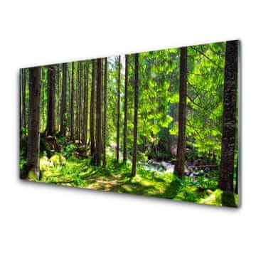 tulup.si Slika na akrilnem steklu Narava rastlin forest trees 4 obešalnika