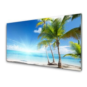 tulup.si Slika na akrilnem steklu Palm tree morje landscape 4 obešalnika