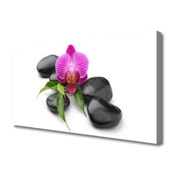 tulup.si Slika na platnu Flower stones art