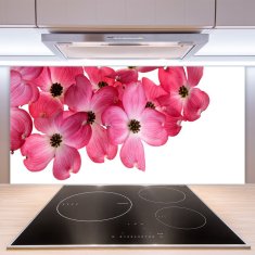 tulup.si Stenska plošča za kuhinjo Rože na steni 100x50 cm
