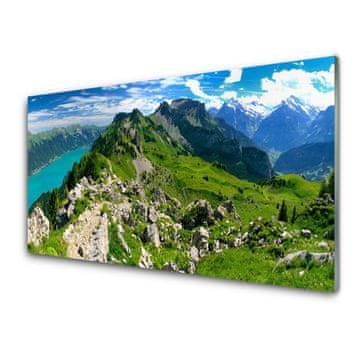 tulup.si Slika na akrilnem steklu Travnik mountain nature landscape 2 obešalnika