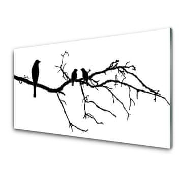 tulup.si Slika na akrilnem steklu Bird branch narava art 4 obešalnika