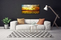 tulup.si Slika na platnu Polje sončnic krajine 100x50 cm
