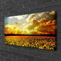 tulup.si Slika na platnu Polje sončnic krajine 100x50 cm