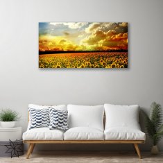 tulup.si Slika na platnu Polje sončnic krajine 100x50 cm