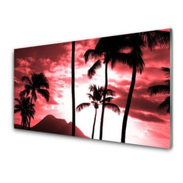 tulup.si Slika na akrilnem steklu Top palm trees narava 4 obešalnika