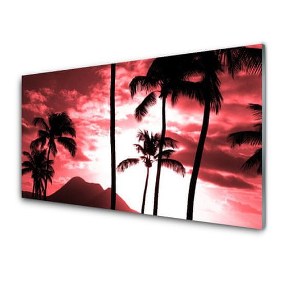 tulup.si Slika na akrilnem steklu Top palm trees narava