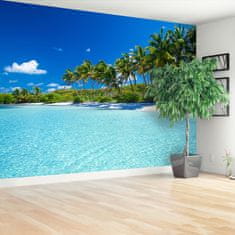 tulup.si Fototapeta Palm beach Samolepilne 250x104 cm