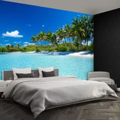 tulup.si Fototapeta Palm beach Samolepilne 250x104 cm
