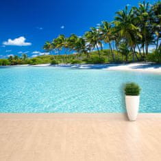 tulup.si Fototapeta Palm beach Samolepilne 250x104 cm
