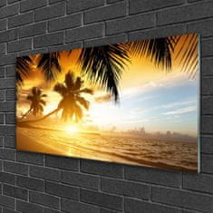 tulup.si Slika na steklu Palm beach sea landscape 125x50 cm 2 obešalnika