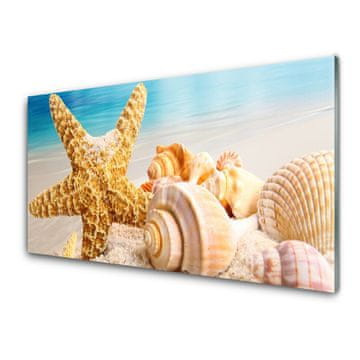 tulup.si Slika na akrilnem steklu Starfish shell art 2 obešalnika