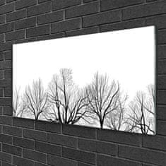 tulup.si Slika na steklu Rastlin drevesa narava 100x50 cm 4 obešalnika