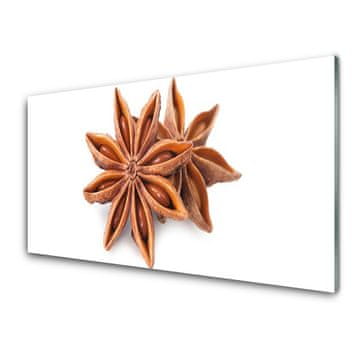 tulup.si Slika na akrilnem steklu Star janež spice 2 obešalnika