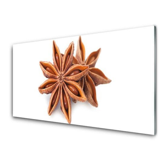 tulup.si Slika na akrilnem steklu Star janež spice