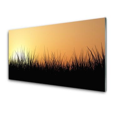 tulup.si Stenska plošča za kuhinjo Grass nature rastlin