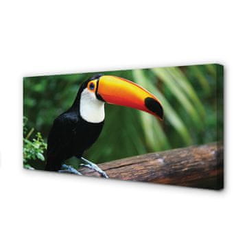 tulup.si Slika na platnu Toucan na veji