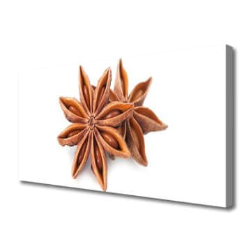 tulup.si Slika na platnu Star janež spice