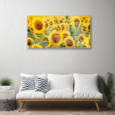 tulup.si Slika na steklu Rastlina sončnice narava 100x50 cm