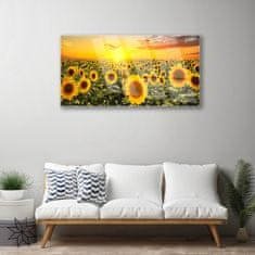 tulup.si Slika na akrilnem steklu Sončnice 100x50 cm 2 obešalnika