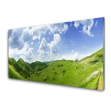 tulup.si Slika na akrilnem steklu Mountain travnik narava field 2 obešalnika