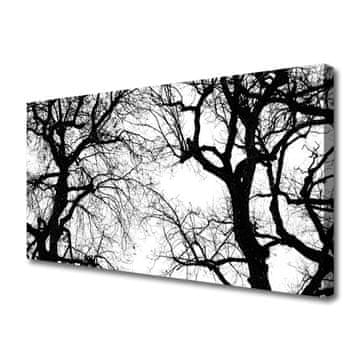 tulup.si Slika na platnu Drevesa narava black and white