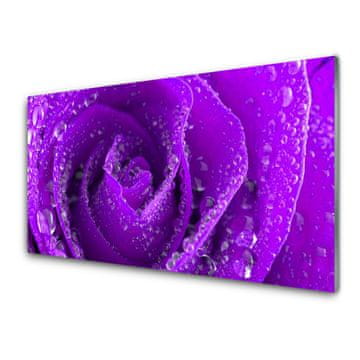 tulup.si Slika na akrilnem steklu Rose flower rastlin 4 obešalnika