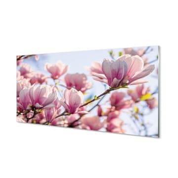 tulup.si Slika na akrilnem steklu Magnolia 2 obešalnika