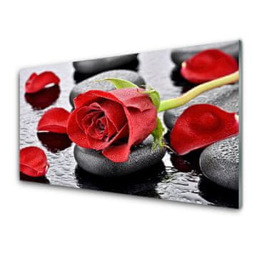 tulup.si Slika na akrilnem steklu Red rose flower 4 obešalnika