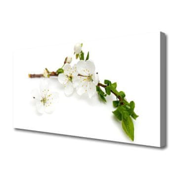 tulup.si Slika na platnu Branch flower narava rastlin