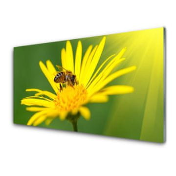 tulup.si Slika na akrilnem steklu Bee flower narava 2 obešalnika