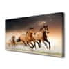 Slika na platnu Konji živali 120x60 cm