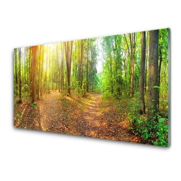 tulup.si Zidna obloga za kuhinju Sun forest narava pot