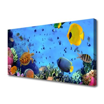 tulup.si Slika na platnu Coral reef fish narava