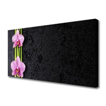 tulup.si Slika na platnu Bambus flower rastlin narava