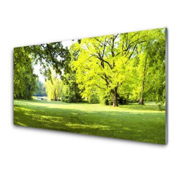 tulup.si Slika na akrilnem steklu Grass nature park drevesa 4 obešalnika