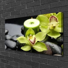 tulup.si Slika na platnu Orhideje 100x50 cm