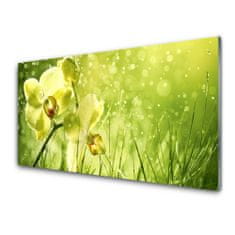 tulup.si Slika na akrilnem steklu Grass nature rastlin 140x70 cm 4 obešalnika