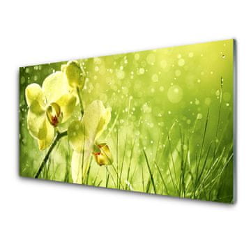 tulup.si Zidna obloga za kuhinju Grass nature rastlin