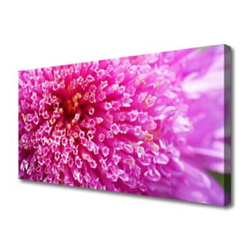 tulup.si Slika na platnu Flower na wall