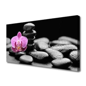 tulup.si Slika na platnu Flower stones art