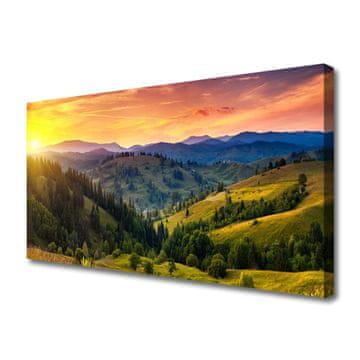 tulup.si Slika na platnu West travnik landscape