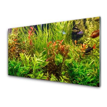 tulup.si Slika na akrilnem steklu Aquarium fish rastline 4 obešalnika
