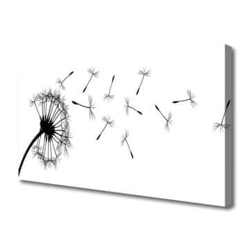 tulup.si Slika na platnu Regrat dandelion flower