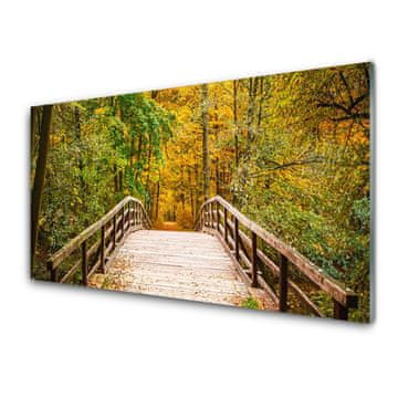 tulup.si Slika na akrilnem steklu Forest bridge arhitektura 2 obešalnika