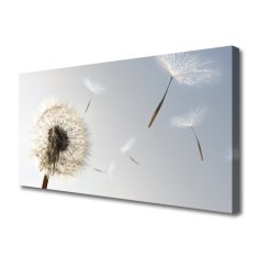 tulup.si Slika na platnu Dandelion rože narava 125x50 cm