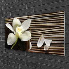 tulup.si Slika na akrilnem steklu Flower na wall 100x50 cm 2 obešalnika