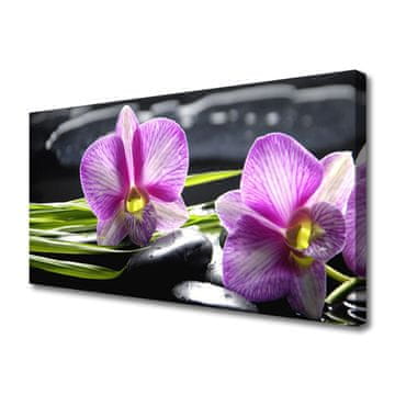 tulup.si Slika na platnu Orchid zen spa stones