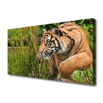 tulup.si Slika na platnu Tiger živali