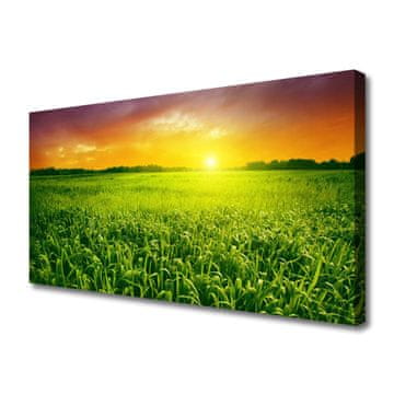 tulup.si Slika na platnu Pšenična polja sunrise